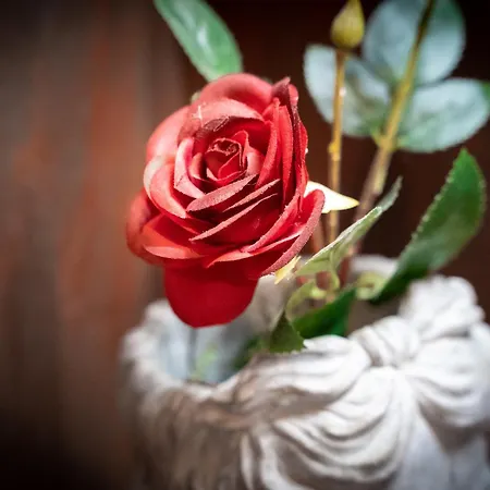 아파트 Dependance Cara Giulietta *