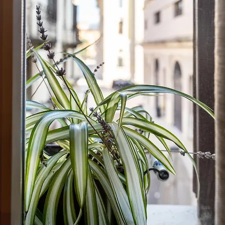 Dependance Cara Giulietta Apartmán