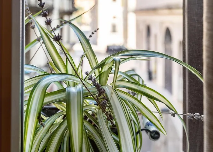 Dependance Cara Giulietta Appartement